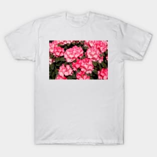 Pink Rhododendron Flower, Close-Up, Germany T-Shirt